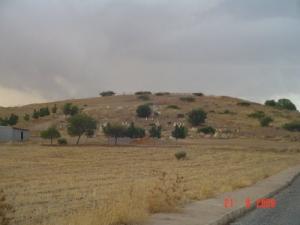 cimetier de ZEBABDJA oued-foda