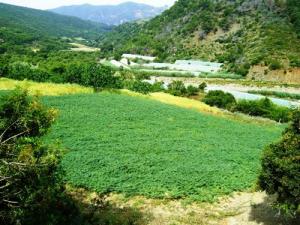 Beni Haoua  Louda n'tadert