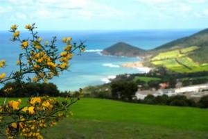 Doumia  le printemps