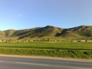 Temoulgua Bir safsaf oued-fodda