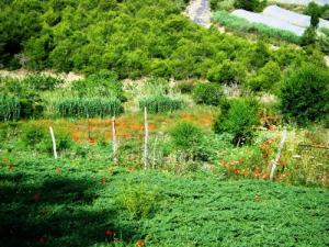 Beni Haoua Louda N'tadert