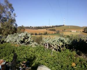 Sidi Ziane - vue du cimetière de Tadjena