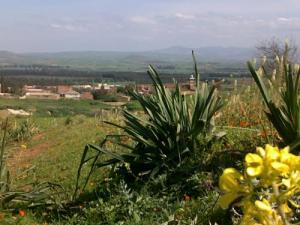 zebabdja 26 mars 2010