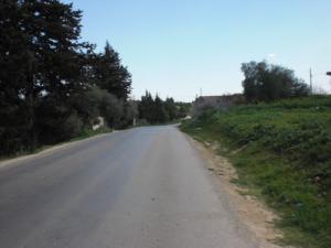 rue aouzdja