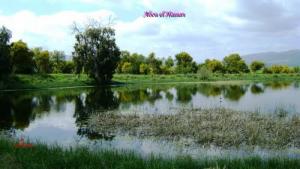 Abou el Hassan  le lac