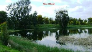 Abou el Hassan  le lac