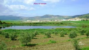 Abou el Hassan  le lac