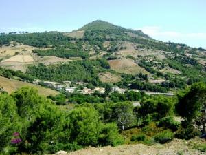Beni Haoua -Zaboudjte allel