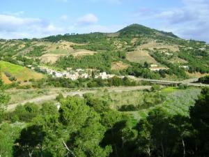 Beni Haoua (Zaboudjete allel )