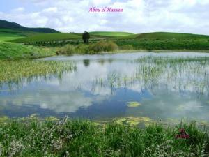 Abou el Hassan  le lac