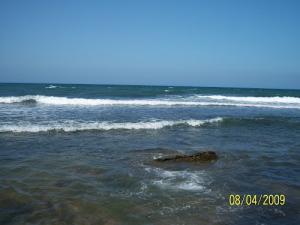 ?? ???? ????? ???????? ?? ?????? ??? ??????? ????