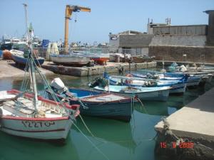 Port de pêche -Tenes - Algérie