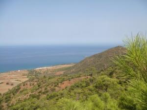 ile de colombi vue de la montagne