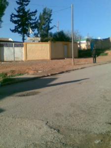 primere de hamdini maamar