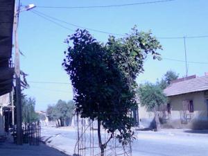 cité n3 (bocaat noury)