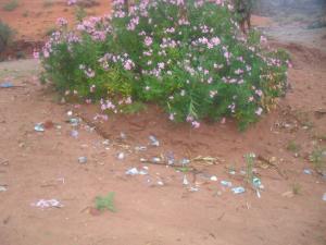 التلوث ظاهرة تجتاح سد تيوت تيوت