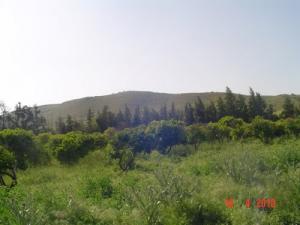 le printemps à oued fodda