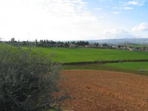 ouled bouali moha betahar