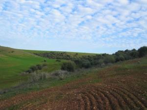 ouled bouali widan 1