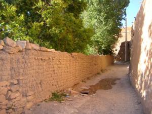 jardin de Ain Madhi Laghouat