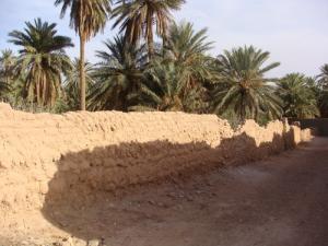 belle était laghouat