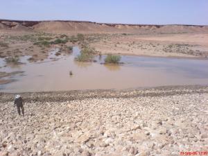 Digue oum tboule commune metlili HCDS 2004 BETC H.m