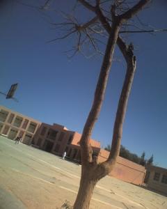 vue magniffique de lycée Bedj Ahmed