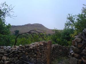 ZEGAG ouled sidi mansour (ruelles des jardins)