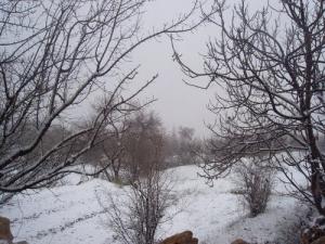 El Ghicha - les jardins sous neige hiver 2009- vue 5