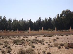 Espace vert à tadjrouna