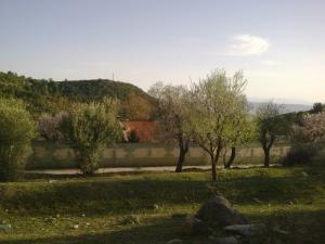 oum el bouaghi 2010 05