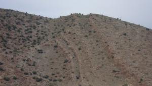 ACHAIB OUZEMOUR DAMOUS 2 -AIN ZITOUN OUM EL BOUAGHI