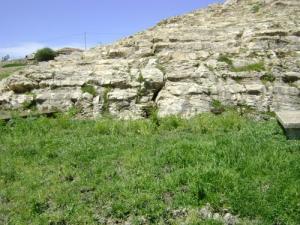 ??? ??? ????? ????? ???????? )??? ?????)