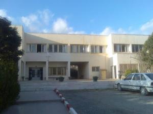 salasnaili@gmail.com