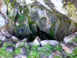 ???? ?????? ?????? ???? ?????