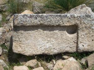 PIECE DEDANT -FORT EL FEROUKH