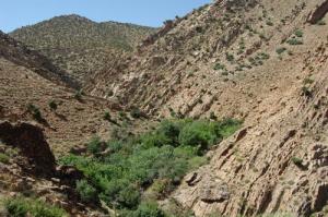 hammam arbiaa/ batna ALGERIE