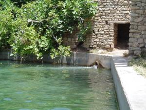 Ayalmam n'Tkukth hanidjith. Tkout