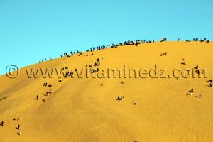 Les dunes de Taghit envahies par les touristes algeriens