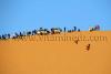 Taghit et sa plus haute dune d\'Algérie, envahie par les touristes en 4X4