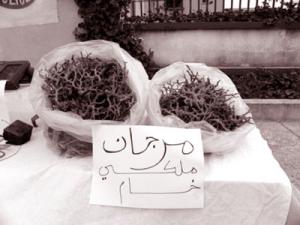 Etude d’évaluation des ressources en corail rouge pour la reprise de la pêche en Algérie: Aurait-elle profité aux réseaux de la contrebande?