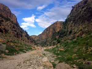 Maafa, Batna, Aurès
