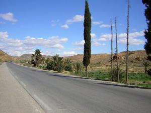 El-kantara à Biskra; c'est la limite Nord du sahara, les premiers palmiers dont la datte arrive à maturité font leur apparition