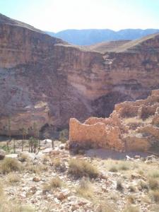 anzatane habse larabi neh yahia (145)