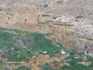 ???? ???? ????? ??????? ?? ????? ???????