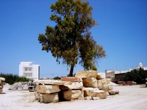 Calutus entouré de marbre Belkahla-msr@?-?-?-?-?