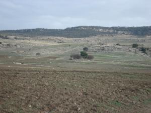 mechtet tiskimel a 10km de Seriana