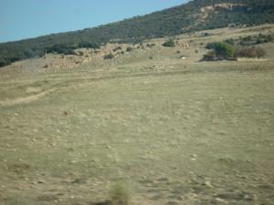 zone de transhumance (tiskimel )