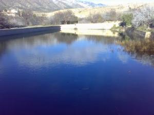 Ayelmem n'chennaoura