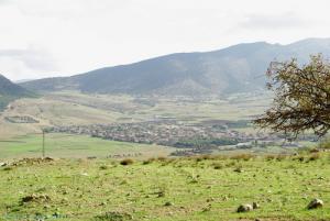 ALI N'MER, automne 2008